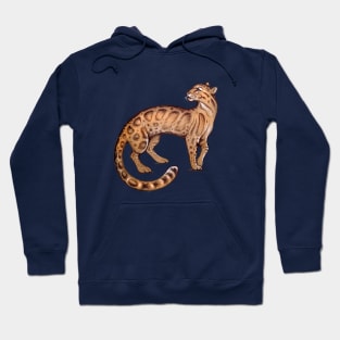 Clouded Leopard Hoodie